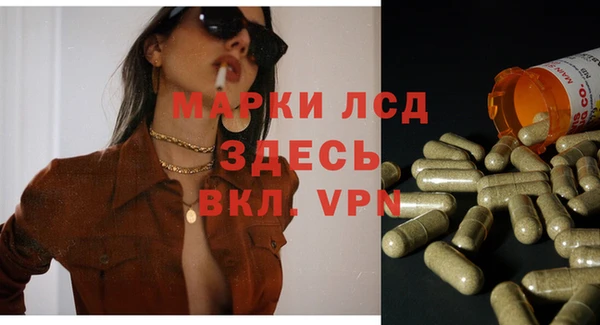 спиды Богородицк
