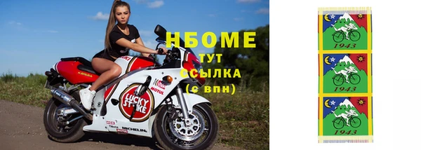 гашик Богданович