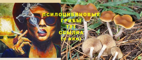спиды Богородицк