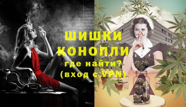 гашик Богданович