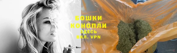 гашик Богданович