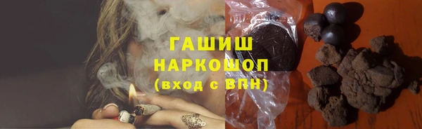 спиды Богородицк