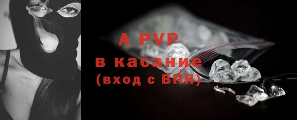 гашик Богданович