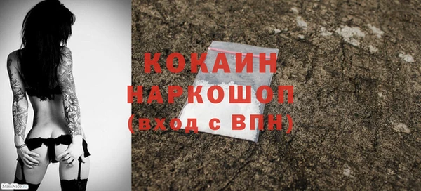 спиды Богородицк