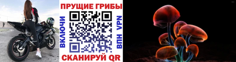 Галлюциногенные грибы MAGIC MUSHROOMS  Сосногорск 